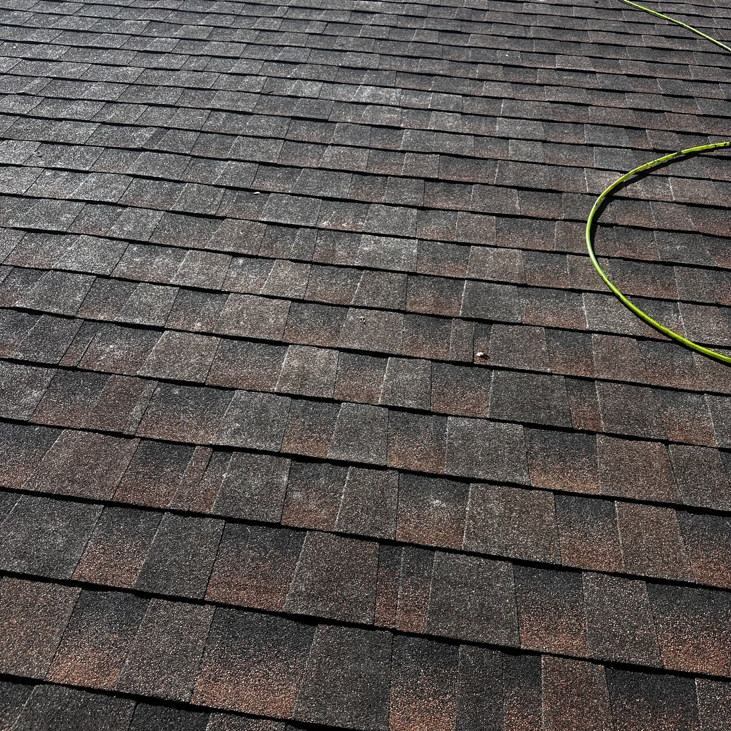 Shingle Plantation 1